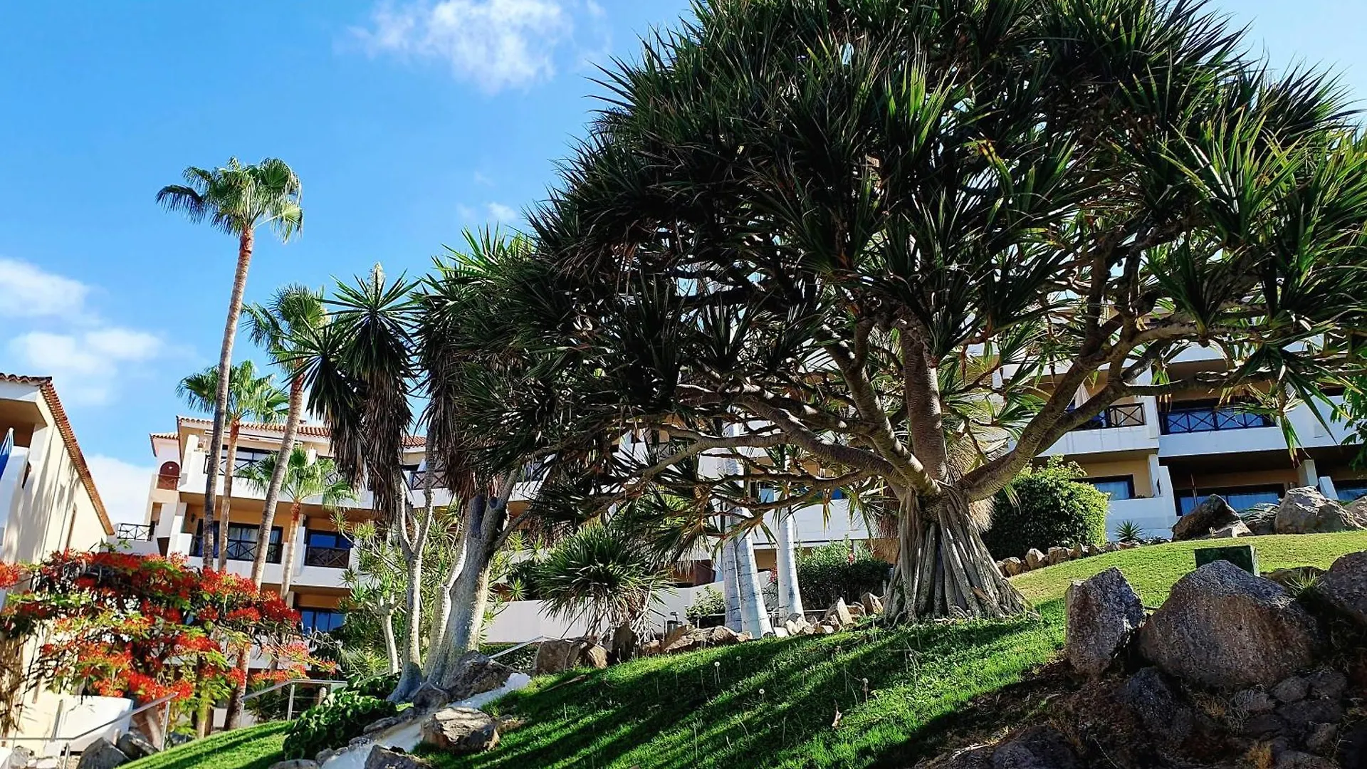 Spacious Apartment With Private Garden In Tenerife South San Miguel de Abona España